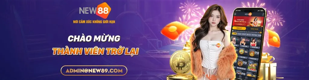 Hình ảnh đại diện Chính sách Cookie của SV288 Code
