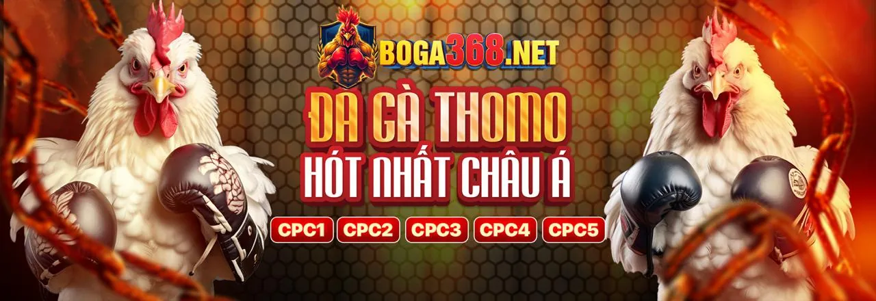 Đá gà trực tiếp đầy kịch tính tại SV288 Code